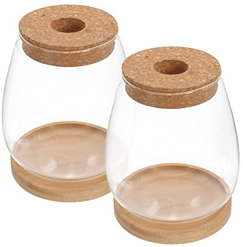 UPKOCH 1 Ensemble Bocal pour Terrarium Décoration Intérieure Simple Conteneur Paysager Transparent pour Plantes Fleurs de Récipients Accessoires