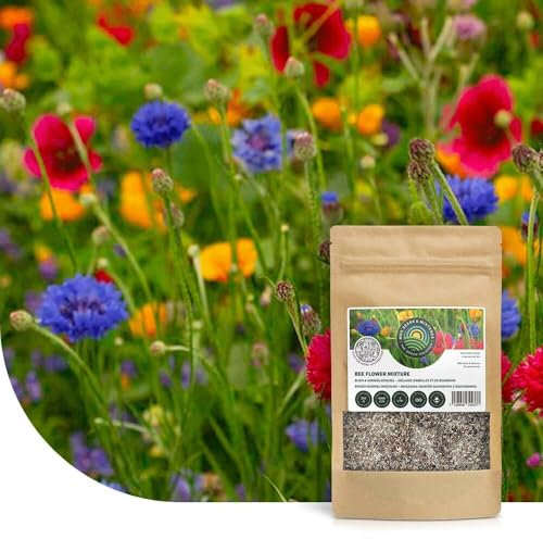 Bienen- und Hummelmischung ein- und mehrjährig | 1kg - 500m2 | Wuchshöhe: 20 bis 80 cm | Blumensamen für Hummeln, Wildbienen und Honigbienen | Für eine bunte, ökologische Bienenoase | Wildblumensamen