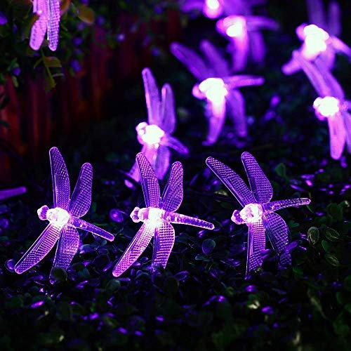 Libelle Schnur Lichter Solarleuchten Außen,KINGCOO Wasserdicht 20ft 30LED 8 Modus Solar Lichterketten für Haus Terrasse Garten Party Hochzeit Weihnachtsbeleuchtung Dekorationen (Lila)