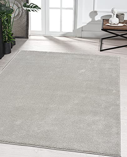 the carpet Marley eleganter Designer Teppich Wohnzimmer, weicher & pflegeleichter Kurzflor Wohnzimmerteppich in Silber, Teppich 200 x 290 cm