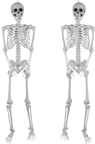 SIFOEL 2 Stück Halloween Kunststoff Skelette Realistische Lebensgröße menschliche Skelette mit beweglichen Gelenken für Halloween Spukhaus Dekoration im Freien