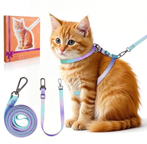 Katzengeschirr mit Leine Set [4-in-1] – Ausbruchsicher & verstellbar – Leichtes Katzenharnisch mit Autogurt – Für kleine, mittelgroße & große Katzen (S)