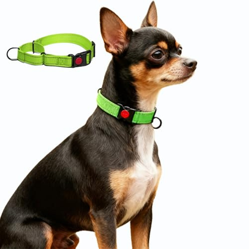 Martingale Hundehalsband, Reflektierendes Zugstopp Halsband Hunde für Große Mittlere und Kleine Hunde, Nylon Zughalsband mit Stopp für Hunde Whippets, Greyhounds (Grüner, S)
