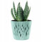B2C Indoor Plant Pots with Insert Plastic Flowerpot Small Large Planter Home Decor Wavy Grooves Texture Removable insert (Sage, 26m)