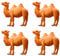 STOBOK Kamel Modelle Miniatur Kamel Figur Tiermodell Desktop Ornamente,4Er Pack