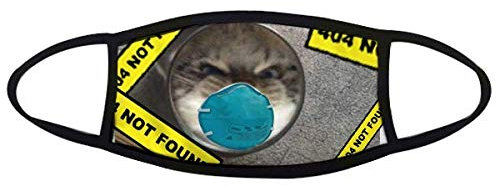 offbb Gesichtsschutz Wütende Katze im Spiegel, unisex, staubdicht, Baumwolle