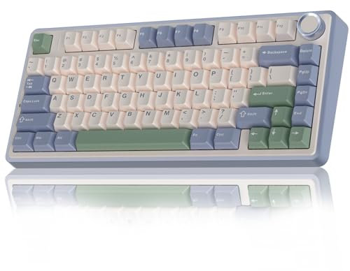 AULA F75 75% Mechanical Gaming Keyboard,2.4Ghz/Type-C/BT5.0 Wireless Mechanical Keyboards,Advanced Structure,RGB Backlight,Creamy Sound,Hot Swappable Custom Keyboard(Beige Green)