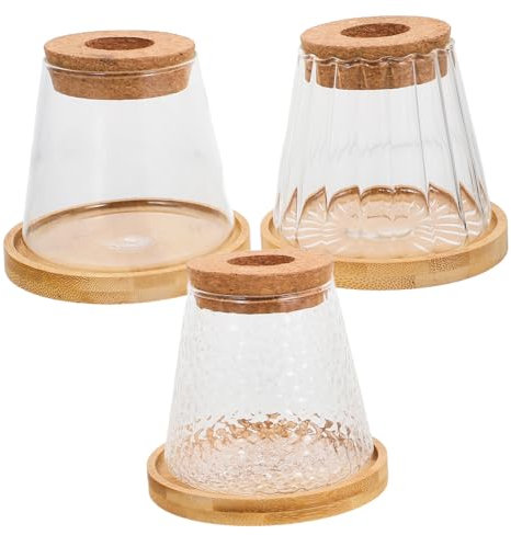 MILISTEN 3er-Pack Hydrokultur-pflanzflaschen-Set Glas-terrarien-tablett Büro- Und Heimdekoration Kleiner Schreibtisch Für Den Innenbereich