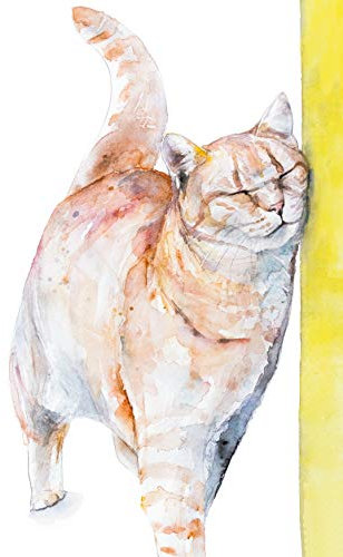 Postkarten Katze: VE 10