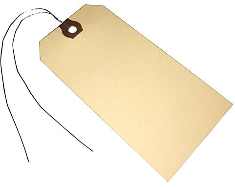 Amram Blanko-Versandanhänger mit Draht, 100 Etiketten, 11,4 x 7,5 cm, Manila-Karton mit verstärkter Öse