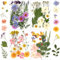YSWOVUO 90 Stück Natürliche Getrocknete Blumen, Gemischte Getrocknete Blüten und Blätter, Gepresste Blumen für DIY Kerzen Harz Schmuck Nagel Anhänger Scrapbooking Kunsthandwerk Dekorationen