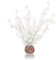 biOrb Boule bonsaï blanche