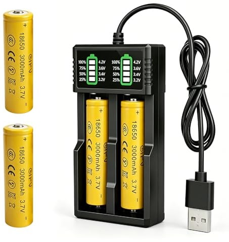 HOVCEH 2 batterie ricaricabili da 3,7 V, 3000 mAh, batteria agli ioni di litio da 3,7 V, con caricabatterie, batteria agli ioni di litio per torcia, piccola ventola, campanello, mini ventilatore