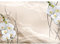 Runa Art Fototapete Blumen Orchidee 3d Modern Vlies Wohnzimmer Schlafzimmer - Made in Germany - 308 x 220 cm Beige 9322010a