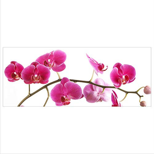 decorwelt Glasbild 125x50 XL Orchidee Pink Panorama Wandbild Glasbilder Modern Deko Glas