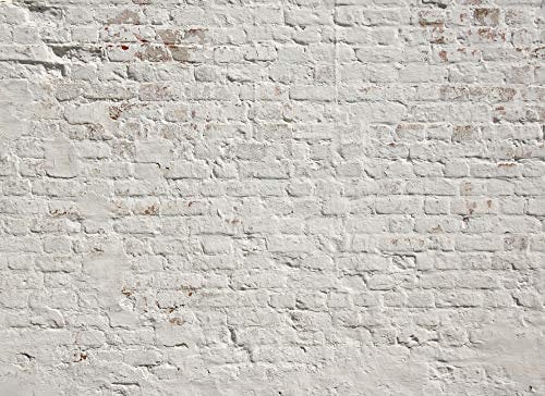 Livingwalls Vliestapete - Tapete Mauer Steinoptik in Weiß, Grau und Grau - Wandtapete für verschiedene Räume - Wandbild XXL 350 x 255 cm
