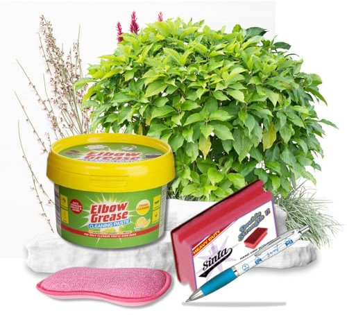 Elbow Grease Cleaning Paste Surface Cleaner | Triple the Power with Elbow Grease Cleaning Paste 350g, Scrubbing Pad 1pc, & Handgrip Scourer 1pc with Sinta Gifts Pen | The Only Cleaner You'll Ever Need