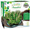 PLANÈTE PLANTE - 7 biologisch abbaubare Töpfe aus Bambus und Samen zum Einpflanzen auf Tablett – 170032-7 Pflanzensorten – Gartenset – 9 cm – ab 4 Jahren