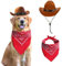 AWOCAN Cowboyhut und Bandana, Schal, Hund, Katze, Sombrero, Welpenhut, Hund, Katze, Kostüm, Cosplay-Kappe, Welpen, Haustier, Hund, Katze, Urlaub, Haustier-Party-Dekoration (Kaffee)