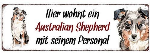 Interluxe Metallschild - Hier wohnt EIN Australian Shepherd - wetterfestes Schild, Hundeschild als Geschenk für Menschen mit Hund