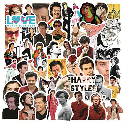 Lanseede 50Pcs Singer Harry Styles Stickers,Stickers Pack, Style Kids DIY Cartoon Graffiti Waterproof Vinyl Stickers Decals for Water Bottle Luggage Laptop Skateboard Suitcase Guitar Furniture…