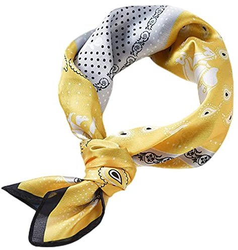 FAIRYGATE Tuch Damen Seidentuch Schal Damen-schal Business Schals & Tücher für Frauen Halstücher 31016