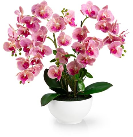 PASCH® Orchidea artificiale XXL, grande (56 cm), in vaso di ceramica lucida, orchidee artificiali, fiori artificiali come veri, orchidee artificiali in vaso, fiori artificiali in vaso (chiaro)