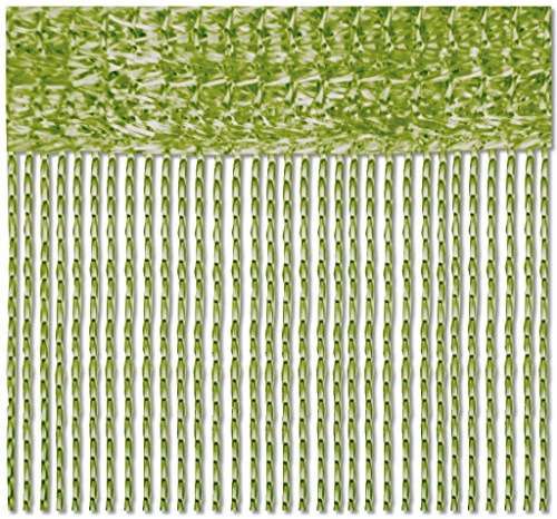 Bestlivings Fadenvorhang 2er Pack Gardine Raumteiler, Auswahl: 90x240 grün - hellgrün