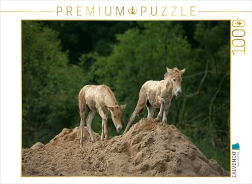 CALVENDO Puzzle Przewalski-Fohlen | 1000 Teile Lege-Größe 64 x 48 cm Foto-Puzzle für glückliche Stunden