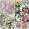 500 pcs eustoma pflanze samen - pflanzensamen Eustoma grandiflorum,lisianthus zimmerpflanzen flower winterfeste pflanzen für garten bodendecker blumenwiese samen mehrjährig