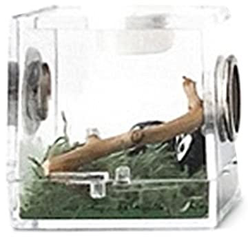 Boîte d'araignée sauteuse - Cage de culture d'insectes, cage de barbecue pour reptiles - Récipient en verre léger avec trous d'aération - Réservoir en verre pour animaux et reptiles - Pour araignées,