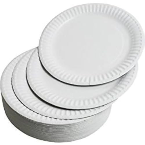 LARGE Paper Plates 23cm - Pack of 100, Strong Disposable Paper Plates, Disposable Party Plates for Hot & Cold Food Ideal for Birthday Party Picnics BBQ's Camping Outdoor Large Disposable Plates