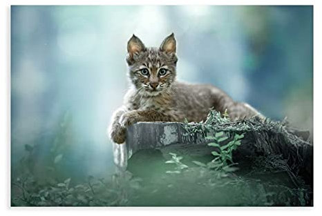 Leinwand-Poster mit Tieren, Luchs, Kunst, Kunstdruck, Gemälde für Wohnzimmer, Schlafzimmer, Dekoration, 30 x 45 cm, ohne Rahmen