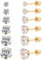 6 Paar chirurgische Edelstahl-Ohrstecker, Schraube zurück vergoldet Herz Stern Quadrat Prinzessin geschnitten Cubic Zirkonia Ohrstecker Set (Gold Round Screw back)