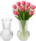 2 Vasi in Vetro - Vaso per Tulipani 17 x 12 x 12 cm - Materiale Vetro - Ideale per Composizioni Floreali, Decorazioni da Tavolo - Per Matrimonio, Feste, Accessori per la Casa (Trasparente)