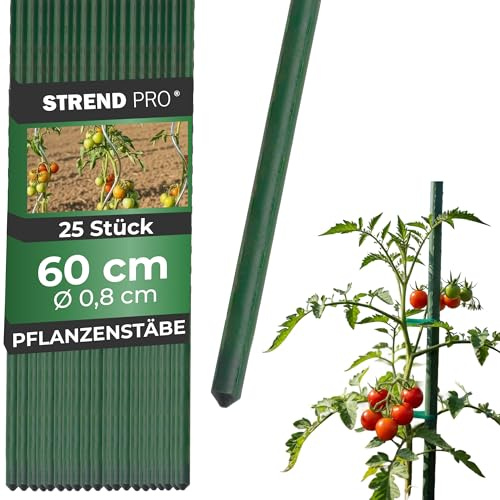 STREND PRO Pflanzstäbe 60 cm - 25 STK. Set | Ø 8 mm Stahl + Kunststoff | Rankstab Grün für Blumen, Kräuter, Pflanzen, Setzlinge | Kleine Pflanzenstütze | Metalle Rankhilfe | Stützstäbe | Pflanzstütze
