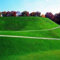 Klar: 200 Samen/pack Grüne Quelle Rasen Grassamen Outdoor Garten Immergrüne Rasensamen Weiche Natürliche Pflanze Kleine Bonsai Geschenk