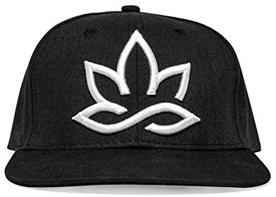 Hempions Hanf Snapback Baseball Cap (Schwarz)