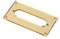 Alnicov Humbucker zu Single Tonabnehmer Adapter Montagering für Telecaster Gitarre Bridge Tonabnehmer, goldener Acrylspiegel