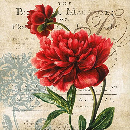 The Botanical Robinson Carol Leinwanddruck, quadratisch, Blumenmuster, 40,6 x 40,6 cm