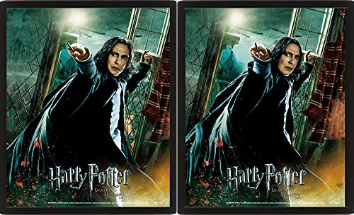 Harry Potter - Snape - fertig gerahmtes 3D Poster - Größe 25x20 cm