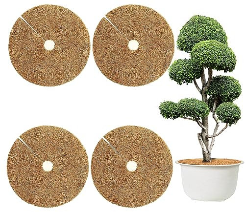 Tarocat 4 Stück 30cm Kokosmatten, Kokosfasermatte, Kokos Pflanzenschutz, Winterschutz Kokos, Kokosscheibe Für Pflanzen, Nachhaltig Pflanzenschutz Frostschutz Kälteschutz Schutz vor Nässe und Frost