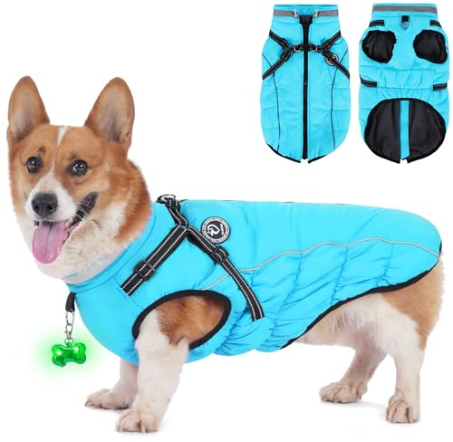 HezzLuv Hundemantel Winter, Hundemantel Wasserdicht, Warme Hundejacke mit Geschirr, Reflektierende Streifen, LED-Leuchtkragen, Winterjacken & Wintermäntel für Kleine, Mittelgroße Hunde