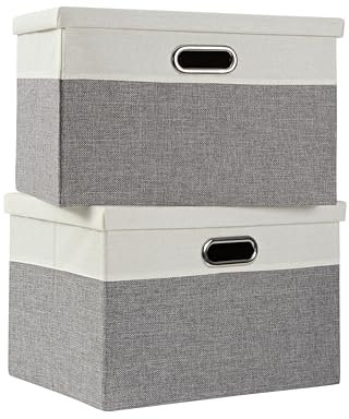 AlphaHome Storage Boxes with Lids, Glaucous Grey and White(2 Pack, XLarge)