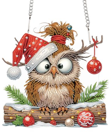 Generisch Weihnachten Türkranz Weihnachtsanhänger mit Kette 5D Diamant Malerei Weihnachtsdeko Anhänger Deko Geschenk Diamond Painting Aufhängen Gartenfenster Dekoration-Eule