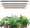 Barrina T5 2FT Grow Light Strip, Yellow Plant Lights for Indoor Growing, Full Spectrum, Black Cover LED Grow Light Bulbs, 40W(4 x 10W), Magnetic, Under Cabinet Plant Lamp with Switch Cord, 4 Packs