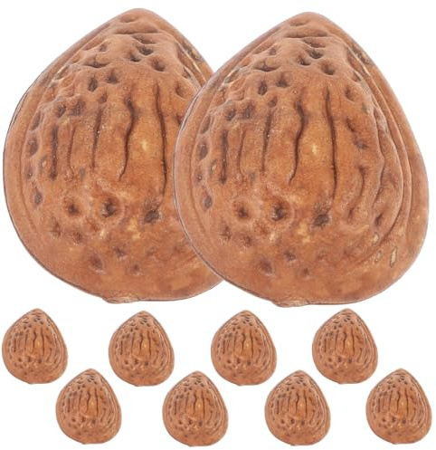 10 Stück Naturgetreue Mandelmodelle aus Kunststoff für Fotografie | Braune Optik mit Detailreicher Oberfläche, Wiederverwendbares Requisit, für Deko auf Etagenregalen