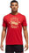 adidas Men's Soccer TRI Blend Linear ICON Short Sleeve TEE (Medium, Russia)