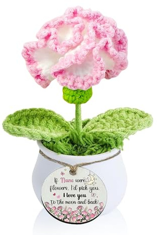 LUFLQQAE Nan Gifts Crochet Carnation Pot Positive for Grandmother Birthday Family Day Funny Handmade Knitted Flower Nana Christmas Retirement Appreciate Decor Ornament from Grandkids