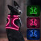 Leuchtendes Hundegeschirr, Colaseeme Anti Zug Hundegeschirr mit Reflexstreifen und Kontrolle Verstellbar Geschirr, LED Hundegeschirr Wieder, aufladbares Beleuchtetes Hundegeschirr, Rosa L